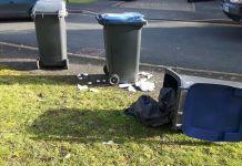 Send students on waste disposal courses, urges cleaner city campaigner