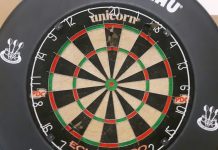 Why I love the raucous genius of darts – and want to see it back in our pubs