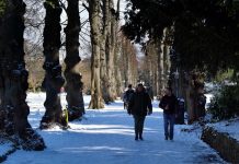 Council toying with radical plans to cut Dane John crime and noise