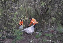 Work to clear “reeking cesspit” has started