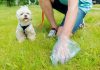There are still owners who fail to pick up after their dogs, says council