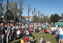 Fancy becoming a friend of Dane John Gardens?