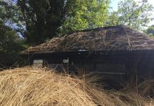 Fire severely damages thatched roof at tea kiosk