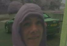 Burglar stole jewellery from city home