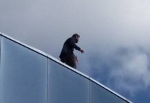 COUNTY NEWS: Man with knife leaps from supermarket roof