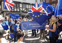 VIDEO: Pulse for Europe hold anti-Brexit rally in central Canterbury