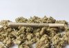 Change the law on cannabis, urges east Kent GP