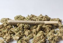 Change the law on cannabis, urges east Kent GP