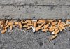 Smokers who drop cigarette butts are fined