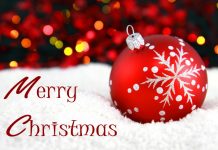 Charity workers, volunteers and our MP reveal their wishes for 2019