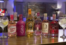 City pubs to hold gin festival