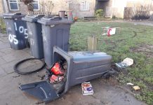 Council moving towards bringing bin collections and street cleaning in house