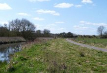 Campaign against marshland park and ride extension gathers pace