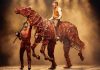 Review: War Horse comes to the Marlowe