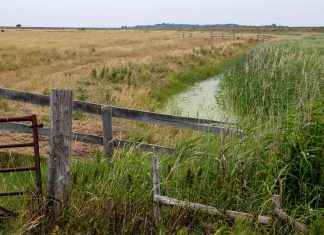 Cleve Hill solar park needs properly investigating Cleve Hill