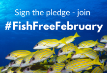 Could a fish-free February help save the planet?